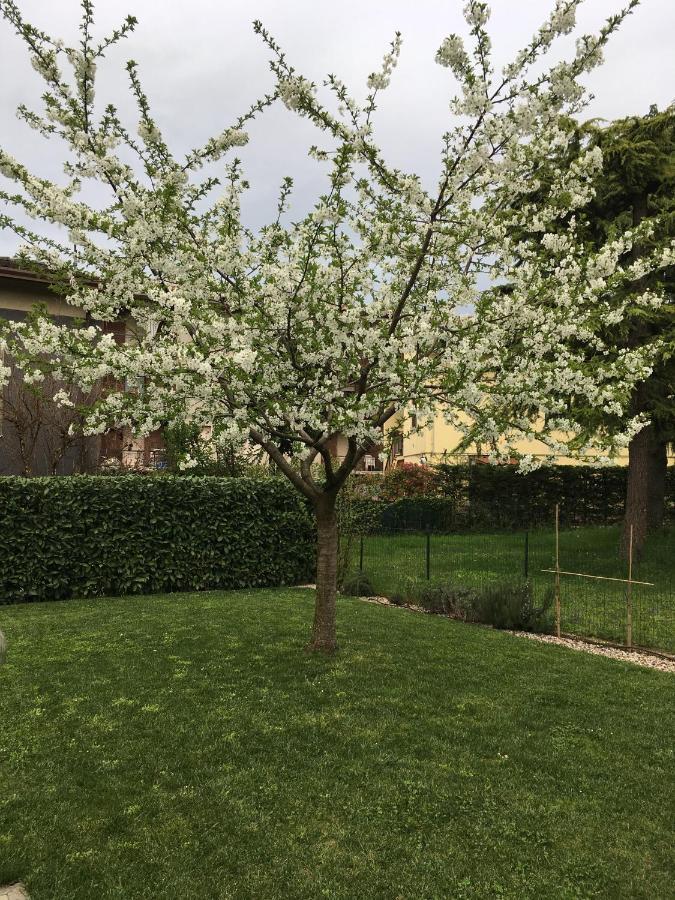 Appartamenti Francesco Peschiera del Garda Exterior photo